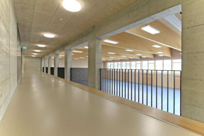 koppigen